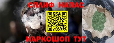 стаф Бузулук