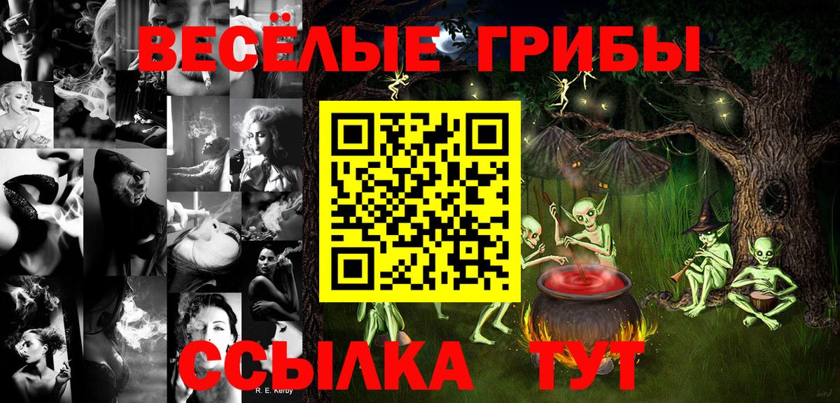 Галлюциногенные грибы мицелий  Псилоцибиновые грибы Psilocybine cubensis  Вход с VPN  Новомосковск 